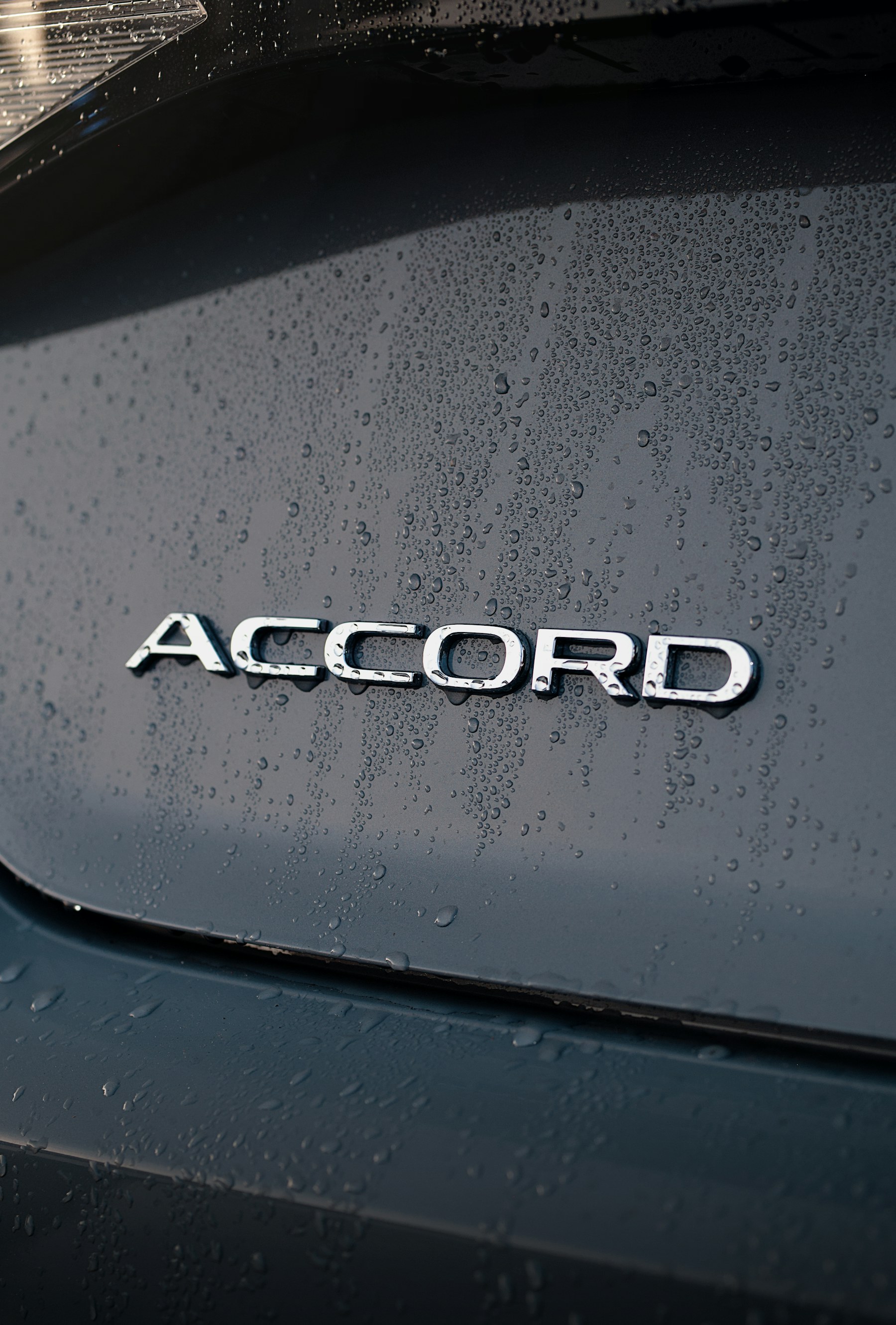 Rain-covered Honda Accord badge detail